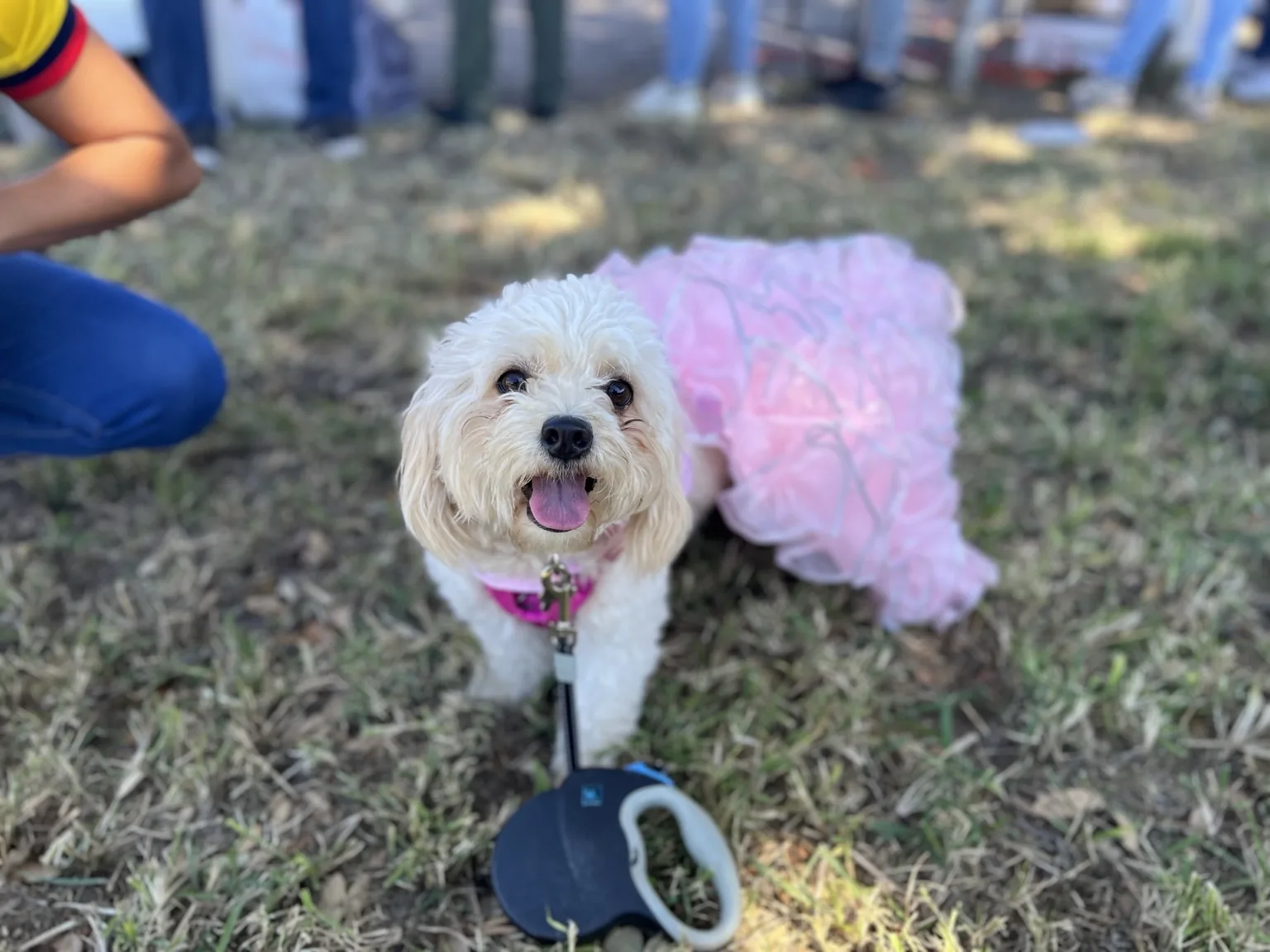 Annie, mother of the puppies